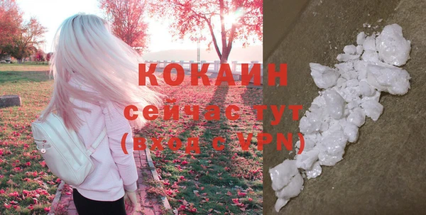 a pvp Дмитриев