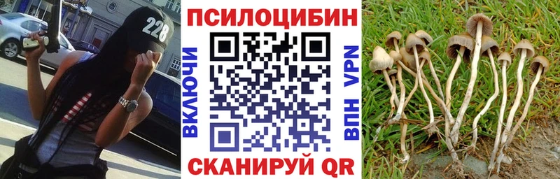 хочу наркоту  Елизово  Галлюциногенные грибы GOLDEN TEACHER 